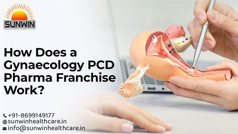 Blog 9 PCD Pharma Franchise for Gynaecology